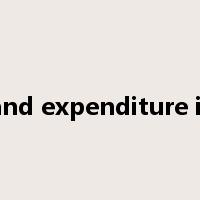 revenue and expenditure in balance是什么意思