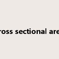 cross sectional area是什么意思