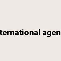 international agency是什么意思