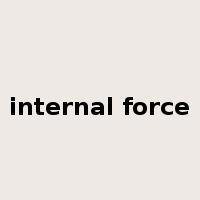 internal force是什么意思