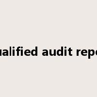 Qualified audit report是什么意思