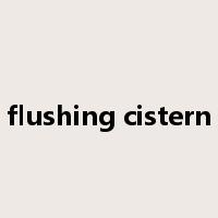 flushing cistern是什么意思