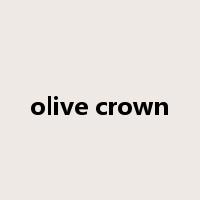 olive crown是什么意思