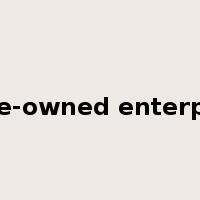 state-owned enterprise是什么意思
