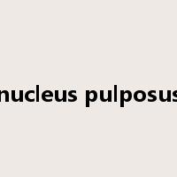 nucleus pulposus是什么意思