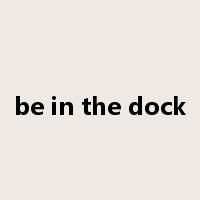 be in the dock是什么意思
