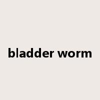 bladder worm是什么意思