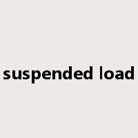 suspended load是什么意思