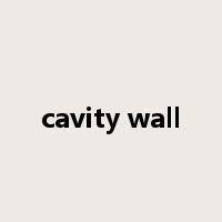 cavity wall是什么意思