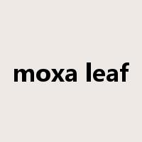 moxa leaf是什么意思