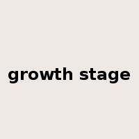 growth stage是什么意思