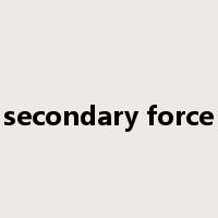 secondary force是什么意思