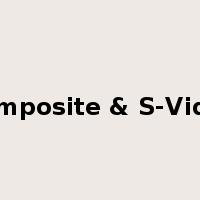 Composite & S-Video是什么意思