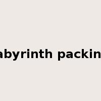 labyrinth packing是什么意思