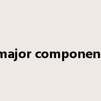 major component是什么意思