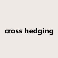 cross hedging是什么意思