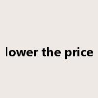 lower the price是什么意思