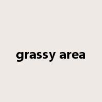 grassy area是什么意思