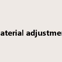 material adjustment是什么意思
