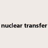 nuclear transfer是什么意思