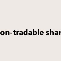 non-tradable share是什么意思