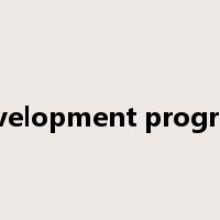 development progress是什么意思