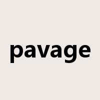 pavage是什么意思