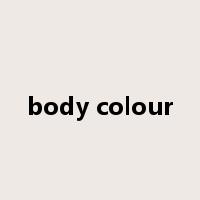 body colour是什么意思