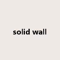 solid wall是什么意思