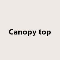 Canopy top是什么意思