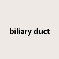 biliary duct是什么意思
