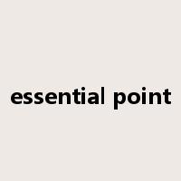 essential point是什么意思