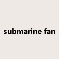 submarine fan是什么意思