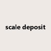 scale deposit是什么意思