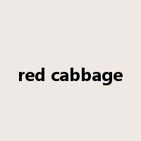 red cabbage是什么意思