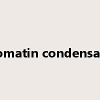 chromatin condensation是什么意思