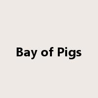 Bay of Pigs是什么意思