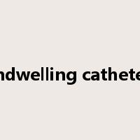 indwelling catheter是什么意思