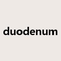 duodenum是什么意思