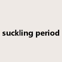 suckling period是什么意思
