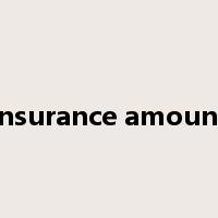 insurance amount是什么意思