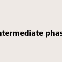 intermediate phase是什么意思