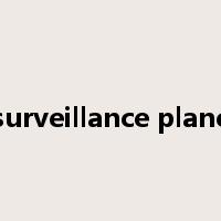 surveillance plane是什么意思