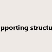 supporting structure是什么意思