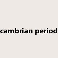 cambrian period是什么意思
