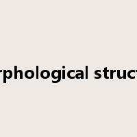 morphological structure是什么意思