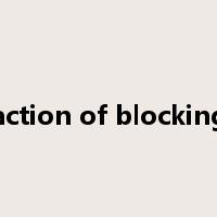 action of blocking是什么意思