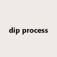 dip process是什么意思