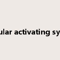 reticular activating system是什么意思