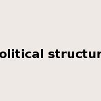 political structure是什么意思